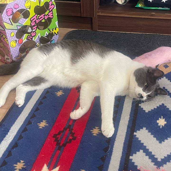 C895d86e 2f16 40bf b397 492c2db267c1 1650720922328