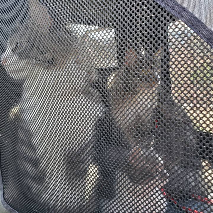 C895f080 8828 44fe 8a70 26ddb80bd6f0 1678179410993