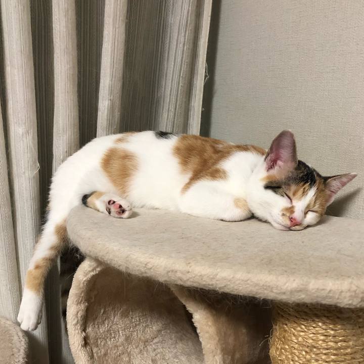 C896247c 6620 4361 a61e 763e81bdbde0 1567091320279