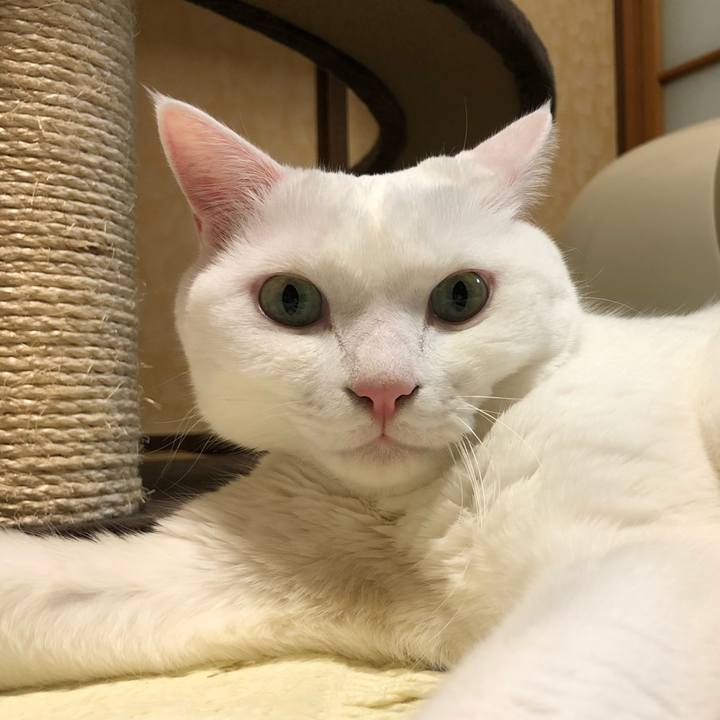 C8962f23 9937 48a7 9be9 48fac4c3e349 1572524141014