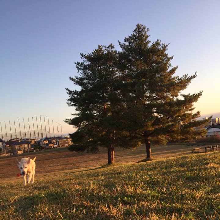 C896503a 8247 4790 b76c ed7f0f1b7b85 1568976442365