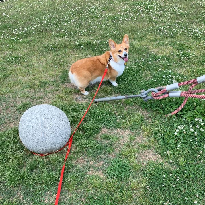 C896553a c279 4d65 a7eb bed271c85b34 1557890320487