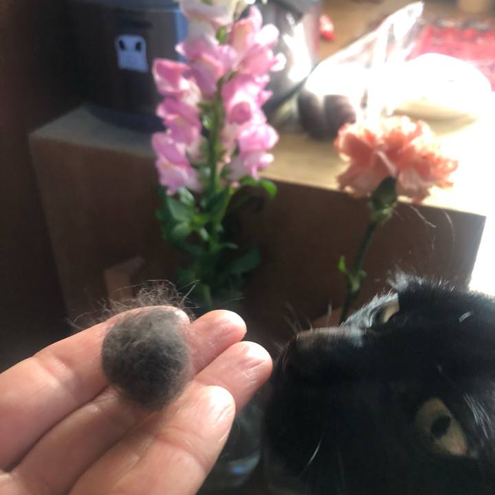 C8969c2b 23ac 4b52 9df0 ae743356507a 1646200874517