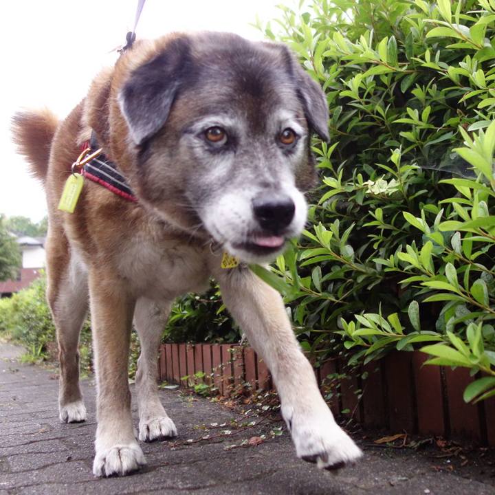 C896f210 ca59 48b9 8eca 0a42fd64ae2e 1671668803596