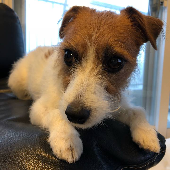 C896f87c 186b 4891 a3bc de4ed16c80e7 1537909632119