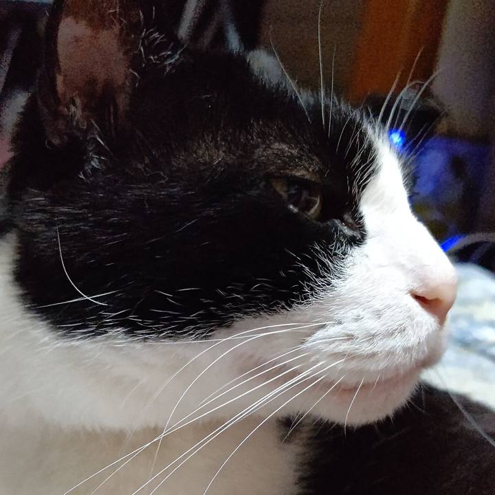 C8972c4c 35eb 4a2f 85bd b2b86e6bd585 1622641248539