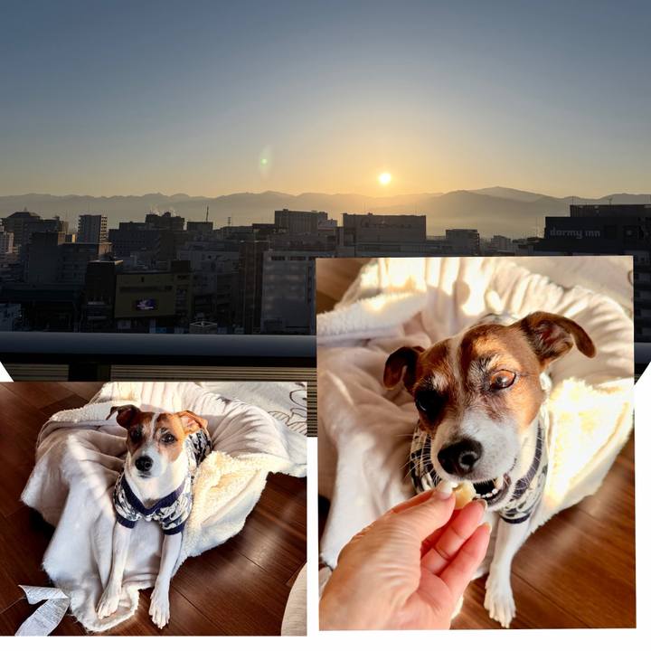 C8976083 57f5 4315 9632 cd72b48d8e68 1771644043985