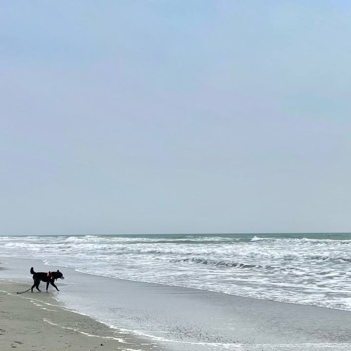 C89767a5 aa80 4791 9d68 a29dbffb4d52 1774849563227