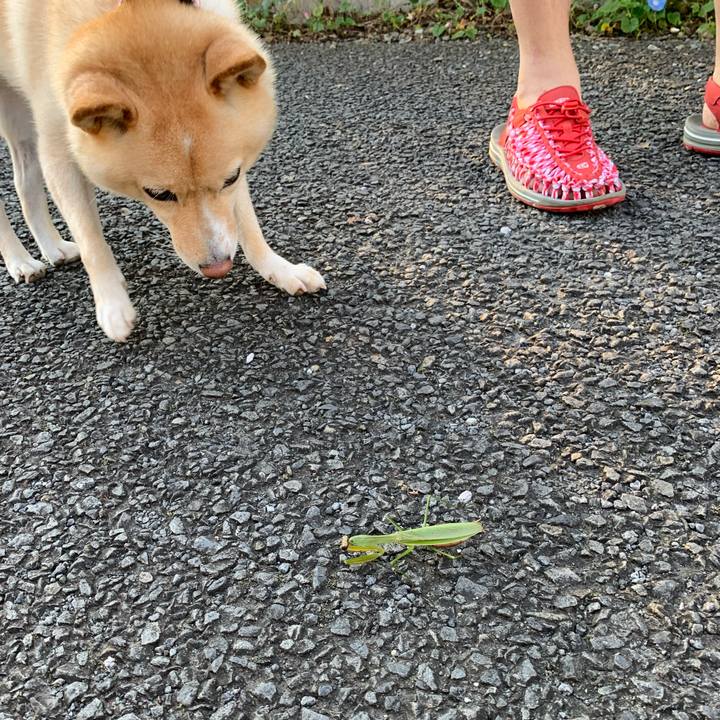 C897694d 1ea4 4376 83a8 7fe75db8b9a0 1632448199413