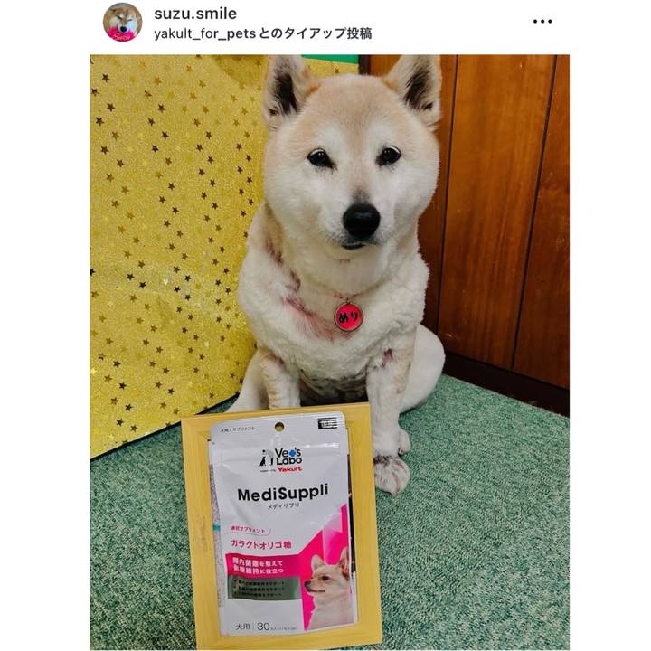 C8977c94 5a4c 4c80 b1cf 6c6716ace054 1744762583908