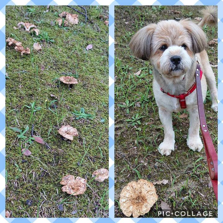 C8979dde 6880 4d29 a4bd 9e2ea23042ea 1594812865541