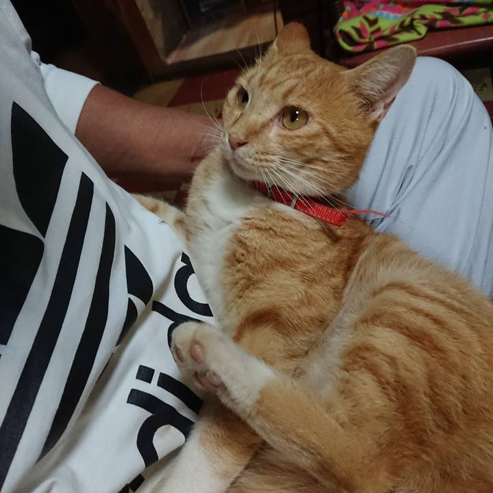 C897b977 9516 402c 9661 eeb349572a00 1570355226897