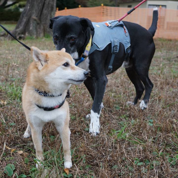 C897da52 07f7 48a0 b4f8 e76be045cb15 1762568068556