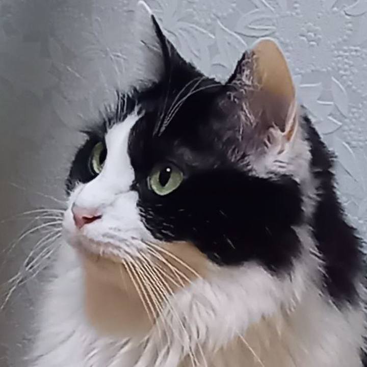 C897e06f 3e37 4e9b 8f80 71c697cfb26d 1670056348322