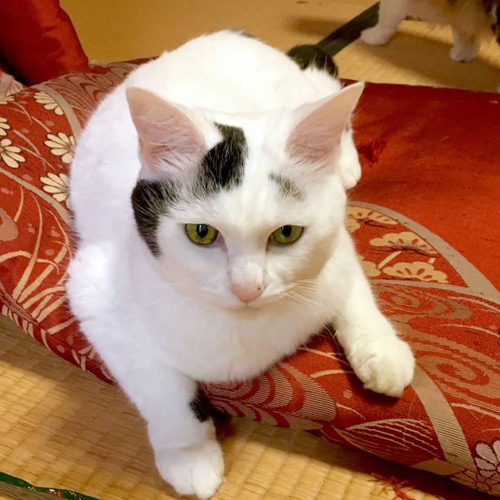 C897e459 882e 4094 9be3 801391619841 1570506978203