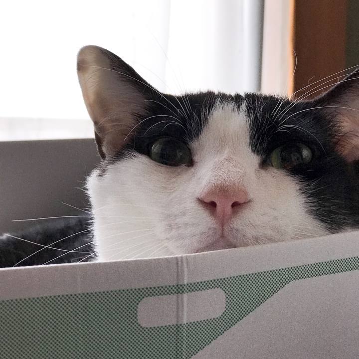 C8982176 06a9 465d aa5d 2421b2130ee4 1530971637989