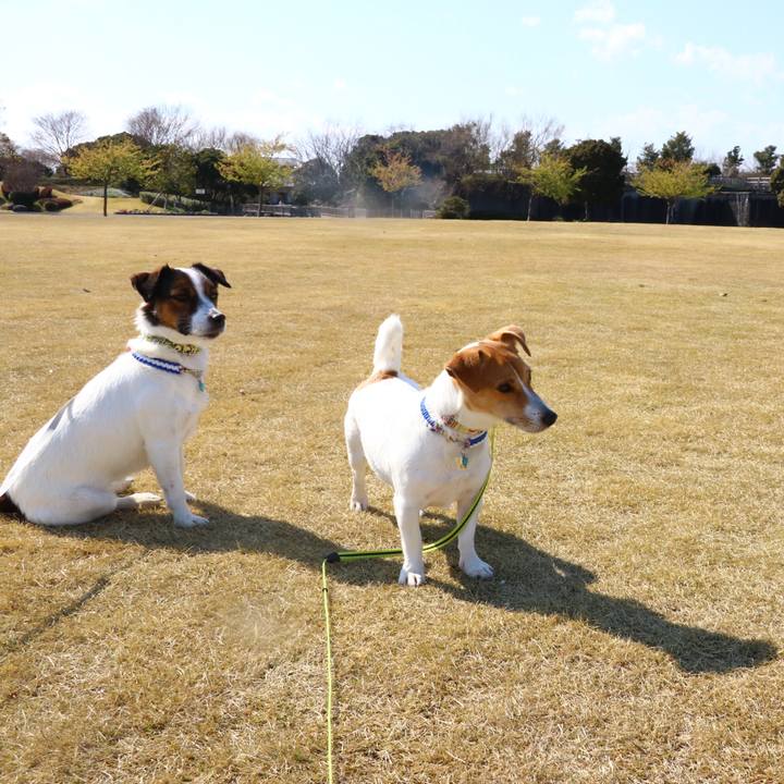 C8982e03 e6ef 42cb b928 57b3881cb119 1552721858816