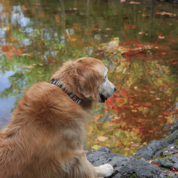 C898411b 22fc 4a12 96a1 7fca5563f39b 1764059665679