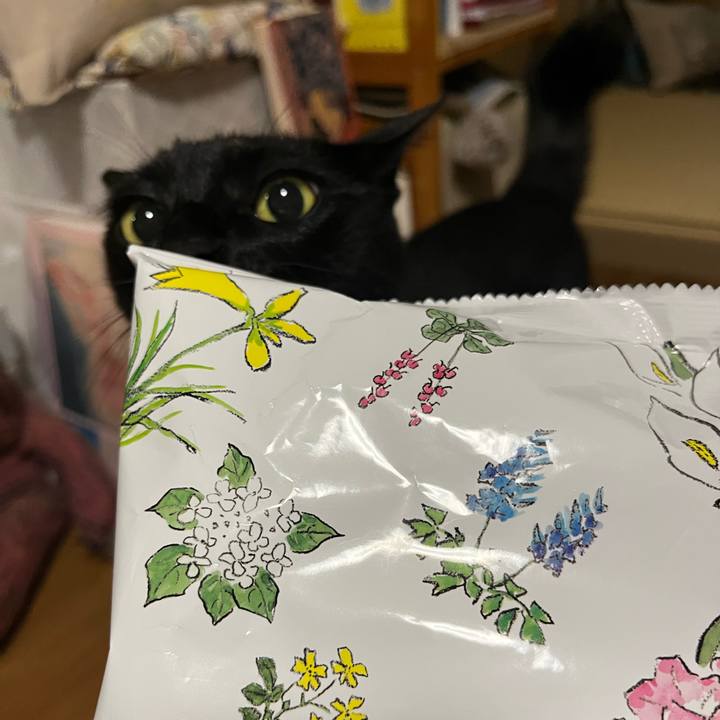 C8985681 c2ee 4677 b70f 0cd92ff1a0eb 1696378063275