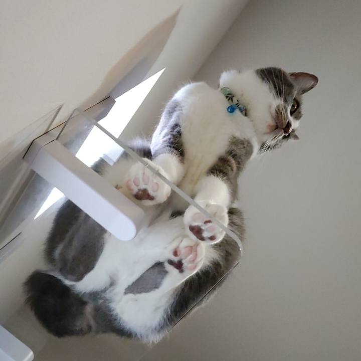 C8985fdc acb5 4151 9668 d1e575c9b4a5 1684056582474