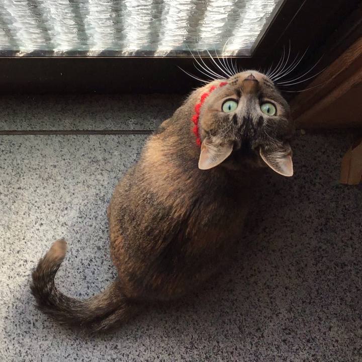 C898649f 8ccd 4c55 8436 79da07e0971c 1613542462252