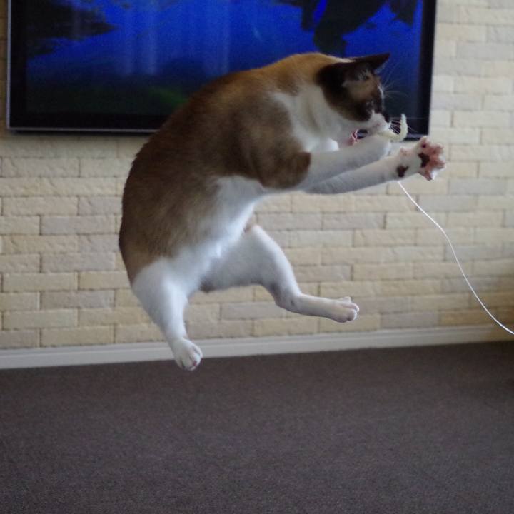 C8988802 d9d6 467c 8fc5 edfb39fb7864 1526719795144