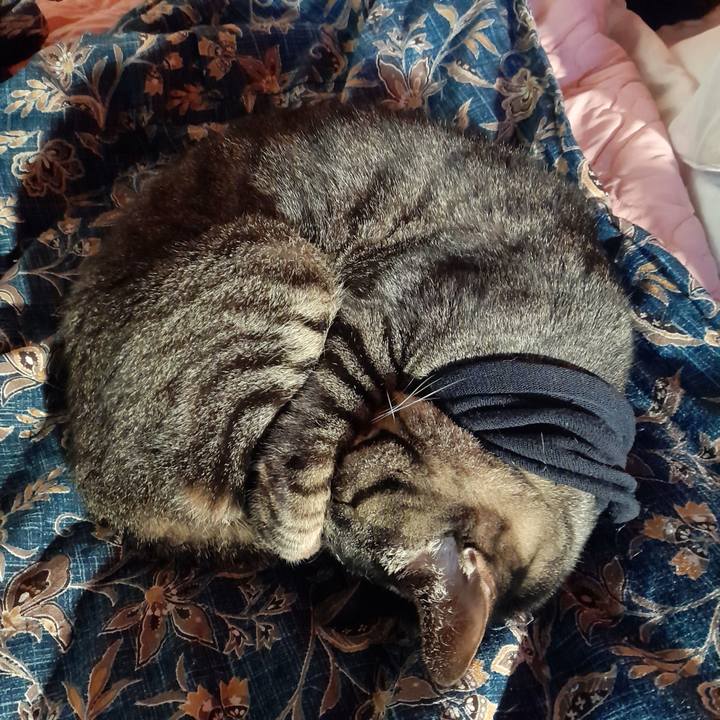 C8992973 3ee7 4173 962d 40108116181e 1756845776483