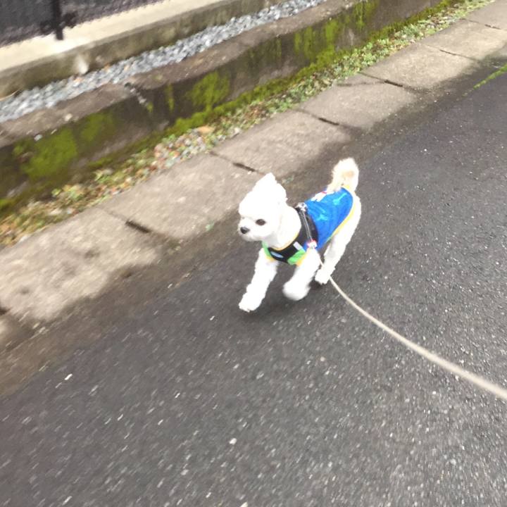 C8996692 44c8 4480 ae0e a6827abd40c8 1512128488987