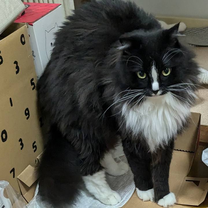 C899900d 883c 4d7b 8ccd 27f821dfb03f 1719622709652