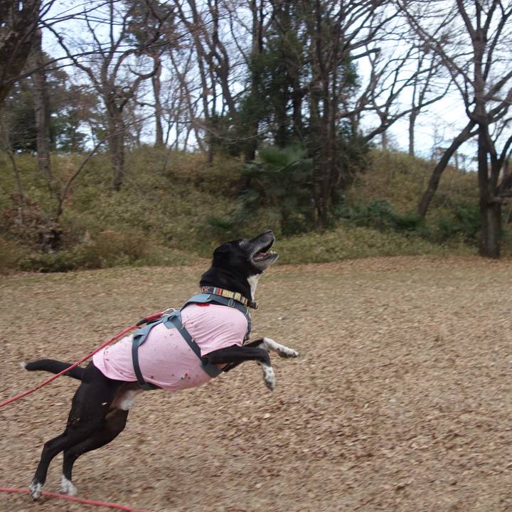 C899b109 d869 4335 93b0 b1cc16a26f72 1705624984691