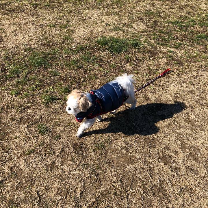 C899b7e2 8467 4dc6 8299 ccb67011daf6 1546810397500