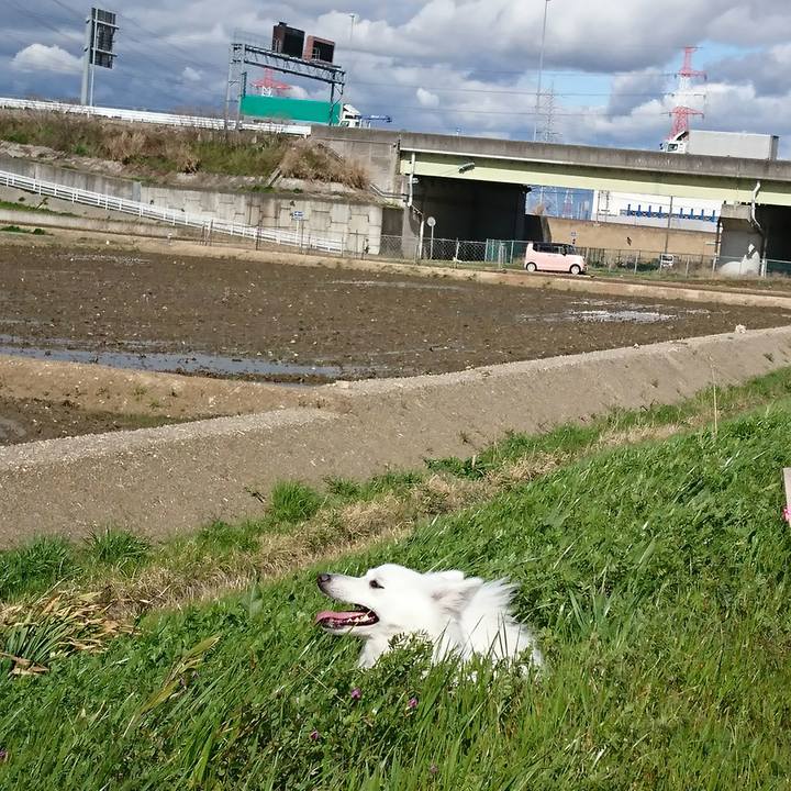 C899e4f5 ec2f 4f6e bcc8 ed9decb76451 1521699785361