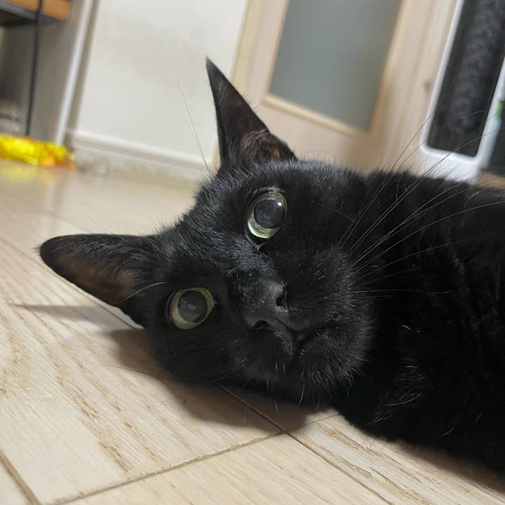 C89a3896 5e6f 47b0 b65d 7c9a7d5a4116 1760183299942