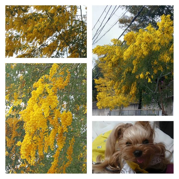 C89a3f62 66eb 41e6 8924 b7b561e0f0aa 1680772705556