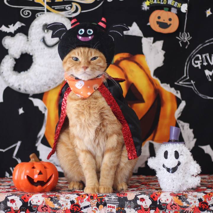 C89a974a fcb0 4c45 8a86 1d55a5141a5c 1633517437853