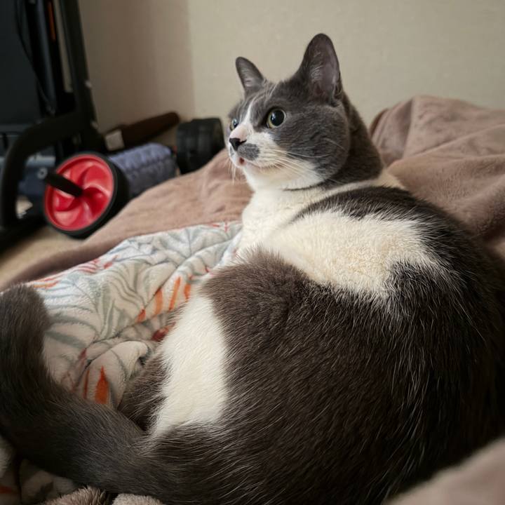 C89ab3d7 e997 4c67 8312 1e869688269a 1773034432764