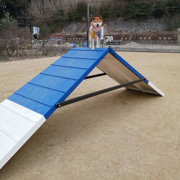 C89af123 a40d 4651 a845 ad63dd277245 1678861854302