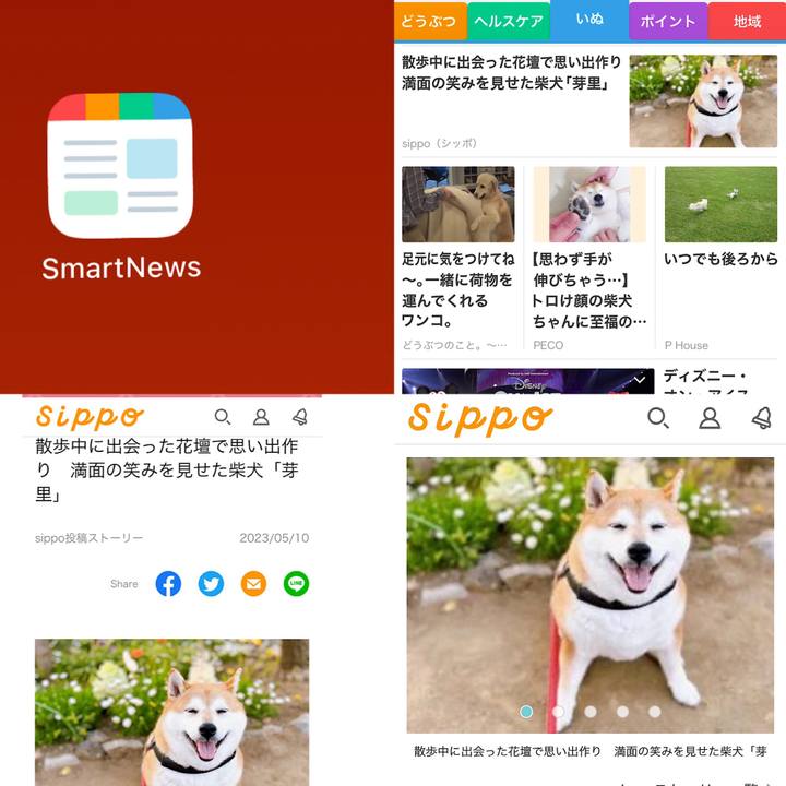 C89afd82 95d5 452b 9f0c 8c79bf81fb05 1683677346030