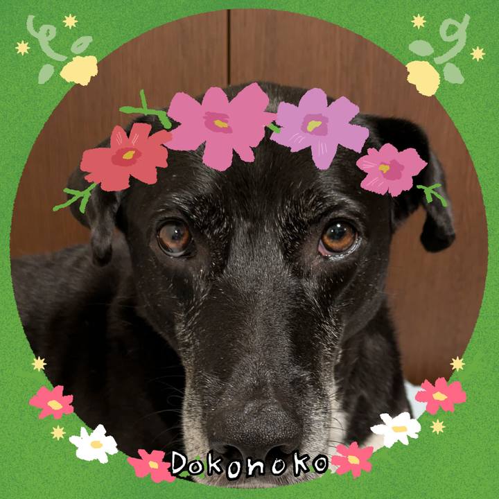 C89b0d56 8f4b 4d9c a53e 9a3f41d0346d 1726808803307