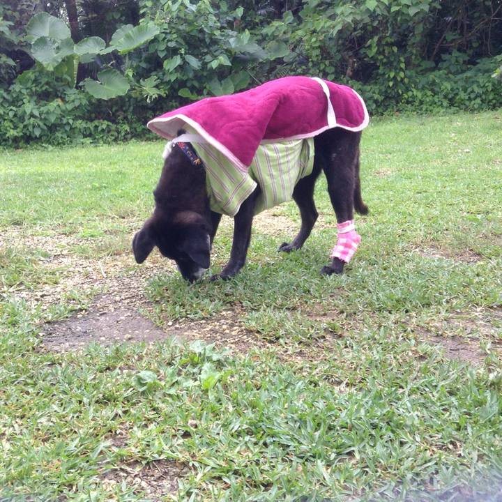 C89b13c0 0f2c 4e6e 9f6d d796c8baea47 1512730388902