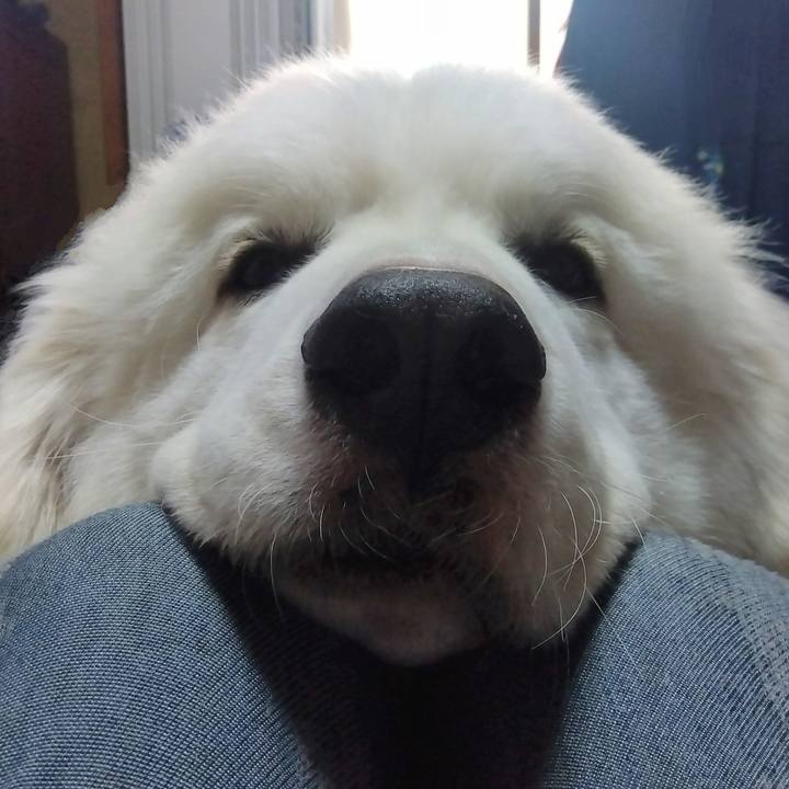 C89b282e 0443 445b a48f b93f178b8b87 1694469016706