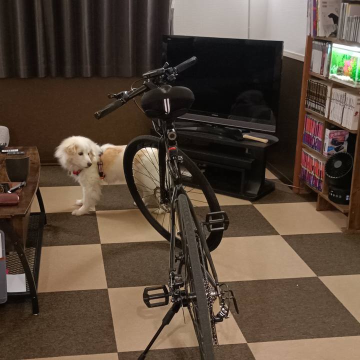 C89b4130 2562 42b7 a678 5a96e6838512 1748348786760