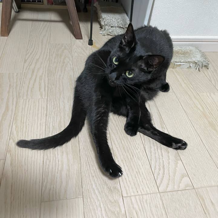 C89b49fb 9a6d 4361 8cb9 29e6b707714d 1655476735259