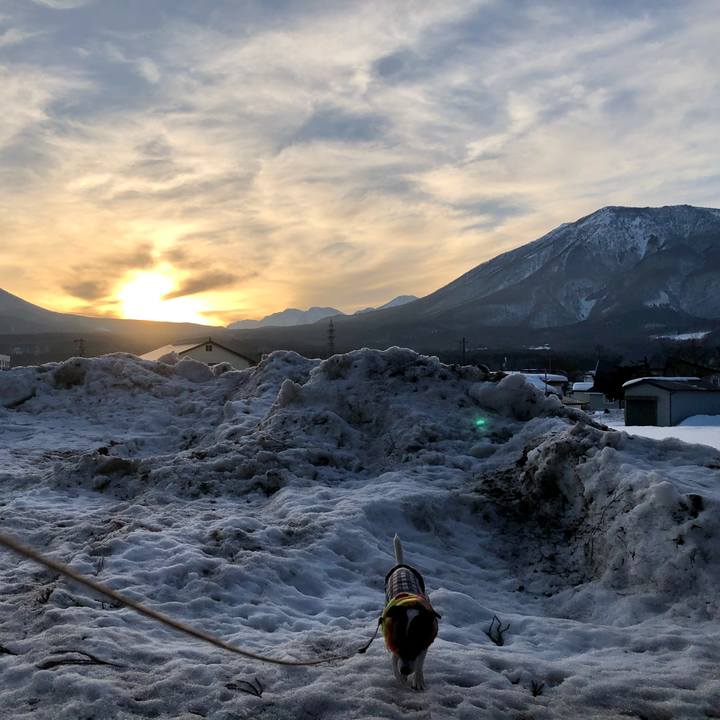 C89b7293 226d 458b 920a 9f795cf9f2b7 1633494256038