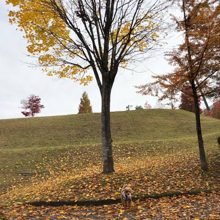 C89b7a6b 7e99 48e6 b4a3 6ca3056e2a30 1541641795355