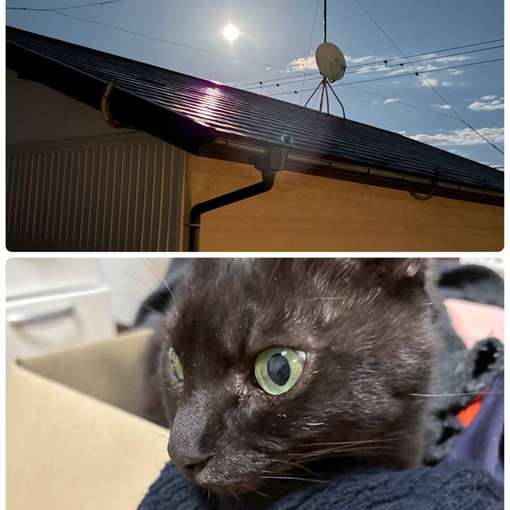 C89b7cca 1579 4ec0 bda4 5a4704309bf2 1762463684093