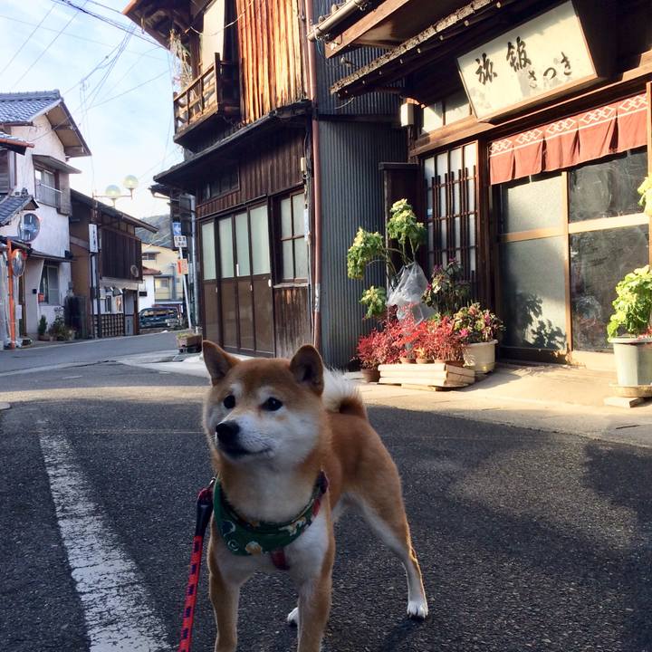 C89bac04 3be2 4baa 93fa b93b1b6ad043 1516443134409