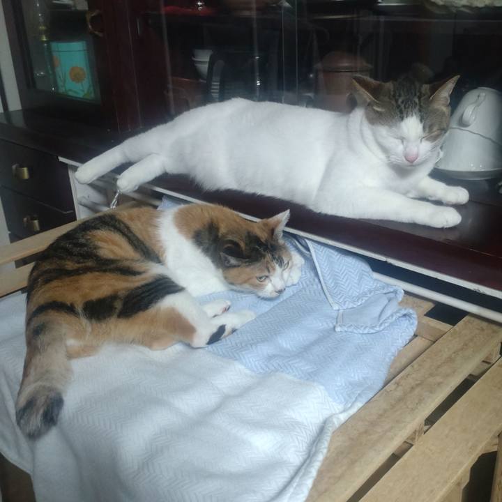 C89bb6a2 b3e9 42ca a6e4 faa487f46819 1758371776328