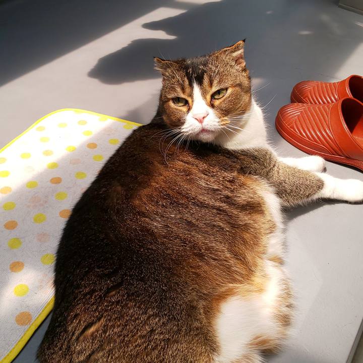 C89bc3fc 8420 4332 99fc d1739961ae71 1653193254301