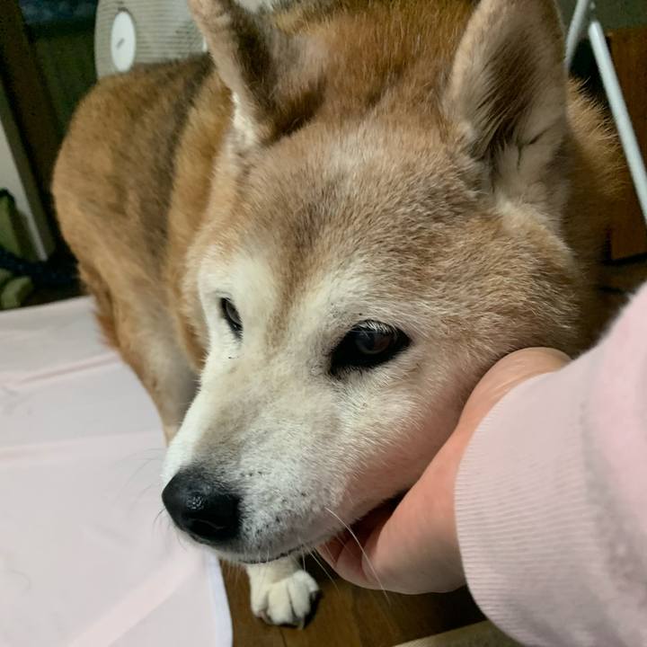 C89bfcac 27c6 44d0 ada6 f7803aee2a36 1667988932154